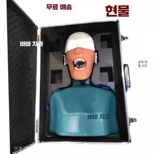 치위생가 연습용 환자 마네킹 치과 제품 치아 모형 교육용