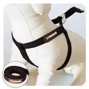 [반려] 엑티브이지 하네스 초코브라운 M 산책 리드줄 외출