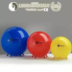 레드라곰마 발 55 받힘형 짐네스틱 짐볼 발받힘형pqr844