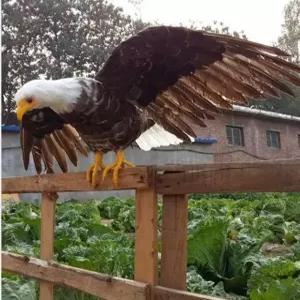 맹금류 모형 독수리 퇴치용 조형 인형 농업용 조류 방지 피규어 대형 장식