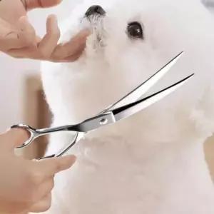 [반려] 3종 애완동물 셀프미용 커팅 안전 세트 가위 숱가위