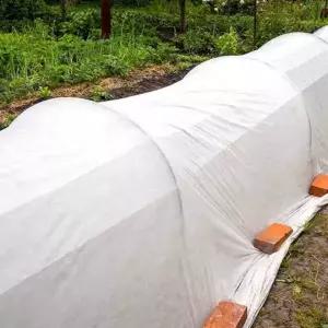 식물보호덮개 부직포 10M 농작물 보온커버