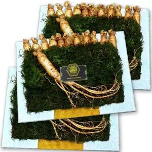 GS-F 고려 수삼 12뿌리 선물용 3호 금색보자기 3팩