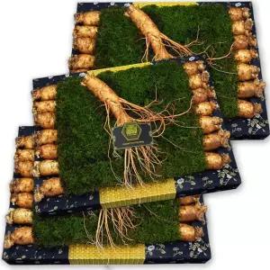 GS-F 고려 수삼 15뿌리 선물용 9호 금색보자기 3팩