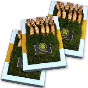 GS-F 고려 수삼 11뿌리 선물용 2호 금색보자기 3팩