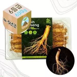 GS-F 고려 생 인삼 수삼 4-5년근 6호 가정용 600g