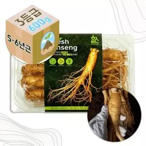 GS-F 고려 생 인삼 수삼 5-6년근 3호 선물용 600g