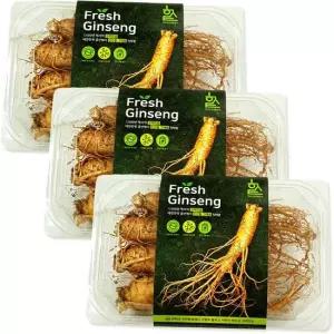 GS-F 고려 5-6년근 인삼 수삼 생 1호 선물용 1800g