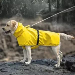[반려] 1P 강아지 판초 망토 장마 망고 우비 비옷 5XL 대형견