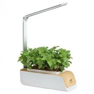 [RIZPICK]식물재배기 가정용 수경재배기 스마트팜 PP310