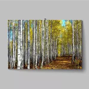 자작나무 숲 복을 부르는 거실 현관 고급 북유럽풍 액자