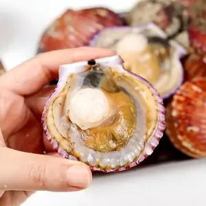 달큰한 맛 산지 직송 통영 홍가리비