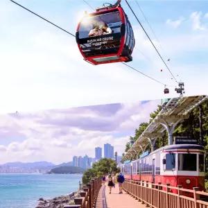 [부산] 해운대 블루라인파크 해변열차+송도해상케이블카 PKG(04/15~)/가볼만한곳/데이트/여행/송도해수욕장/부산가볼만한곳