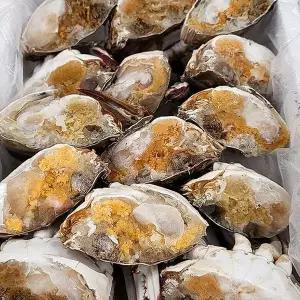 [NS홈쇼핑]급냉 절단 암꽃게 4kg[35333059]