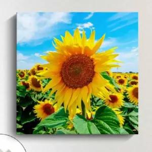 해바라기 그림 인테리어 액자