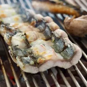 당일조업 자연산 손질 바다장어 1kg 2kg