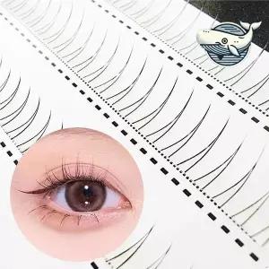 [콩심팥심]자연스러운 속눈썹 연출 언더래쉬 가닥 속눈썹