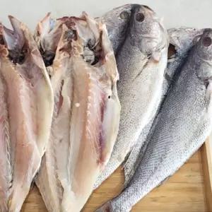 국내산 냉동 반건조 민어 8미 반건조민어 국내산건조민어 냉동반건조민어 반건조생선