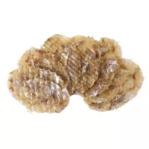 조미 쥐치포 쥐포 M사이즈 대 1kg (45~50미)