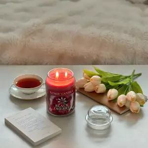 르미에 라지자 캔들 570g 아로마 향초 41종