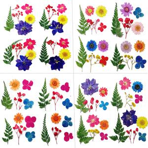 (생화O,스티커아님) 압화 (1인팩X4세트) 공예재료 책갈피 편지 꾸미기 레진 꽃재료 누름꽃