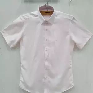 [레노마]모달 필라필 슬림핏 반소매RNUSLP956PKB_GN