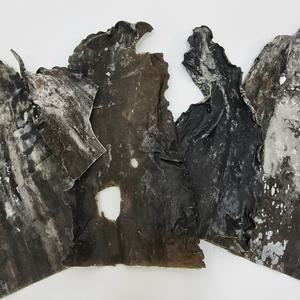 마린보이 완도 뿌리파지다시마(업소추천용) 1kg 꼭지다시마