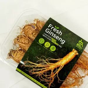 고려 금산 인삼 수삼 생인삼 고려삼 4뿌리 1호