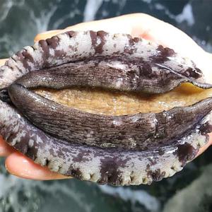 국내산 완도 활전복 왕특대 1kg 8-9미