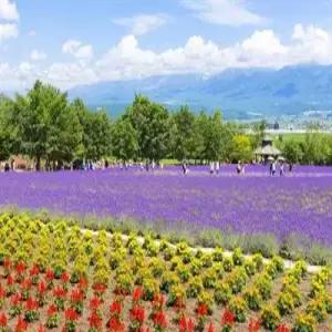 [좋은 상품은 세일하지 않습니다] 프리미엄 북해도 5일_[모르온천/팁포함/게뷔페/아시아나항공]