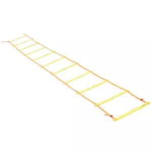 [정품] 스타스포츠 어질리티 훈련용 사다리 5M , 8M SA730 / 26년신형