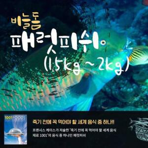 [JHQPN171_52EO]패럿피쉬 손질냉동생선 1마리(1.5-2kg)