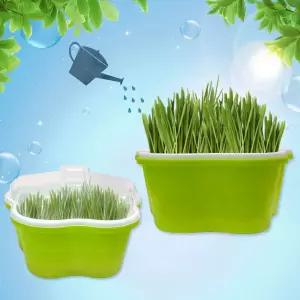 [쏘잇] 새싹보리 수경재배기 키트_가방포함/채소 씨앗 비타민채 보리 식물 미니정원 테라리움 화분만들기 취미 수경재배 홈가드닝 어린이 수업 방과후