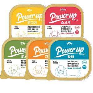 엘릿 파워업 국내산 강아지캔 100g 닭고기 소고기 황태 연어 양고기 강아지 영양식 통조림 사각캔