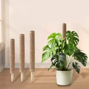 코코넛 수태봉 코코봉 몬스테라 지지대 고정 식물 화분 기둥 스킨답서스 30cm 50cm 70cm