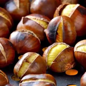 [밤톨이약단밤] 영양간식 약단밤2kg