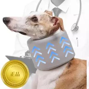 더몽트 튼튼한 하이넥가드 강아지 목디스크 보호대 넥카라 L