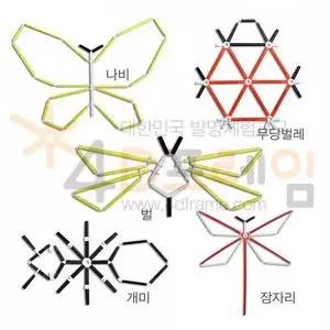 4D프레임 곤충(평면) 세트 /포디프레임 4dframe 과학실험 초등 교구