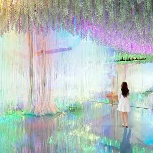 [평창] 2026 모나용평 이나트 뮤지엄(전시관) 전시 입장권 (~6/30)