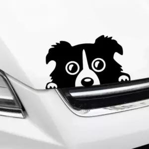 (화이트) 멍멍이 자동차스티커/차량/스크래치/커버/스티커/스크레치/흠집/가리기/자동차/상처/데코/승용차