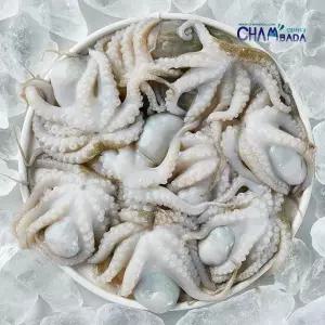 [만능수산시장] 만능 통 주꾸미 600g x 3팩 + 만능볶음소스 50g x 5팩