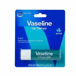 바세린 립테라피 립밤 민트 4.8g 판촉 단체 대량