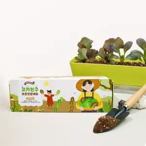 상추키우기 식물재배기 텃밭 씨앗 화분 세트/원예/키우기/도매/사는곳/재배/종묘/키트/식물/파는곳/판매