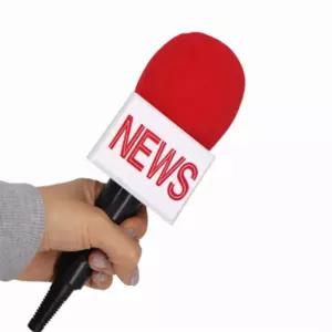 써니 가짜 NEWS 마이크 뉴스기자마이크