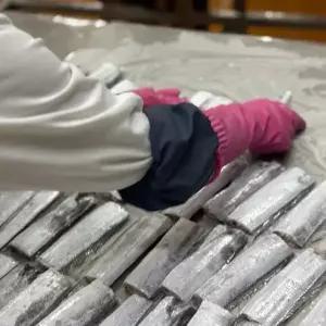 제주 갈치 은갈치 생물 생갈치 구이 조림 5마리 15팩 20팩