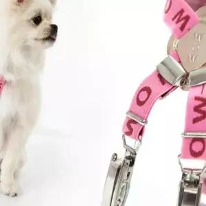 배변팬티 애견 기저귀 멜빵 S 매너밸트 위생팬티 소형견