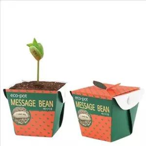 어린이 메시지콩 식물 교육용 메시지콩 재배 키트 키우기 씨앗 성장 어린이