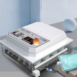 병아리 부화기 미니 전자동 디스플자동차 귀여운 인큐베이터 물침대 디지털 달걀