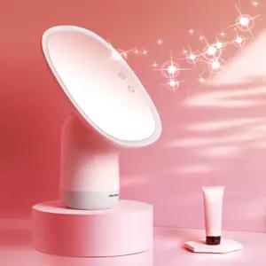 뷰센스 LED 가습기 겸용 화장거울 BS271-DL 스탠드형 탁상 메이크업 조명 거울