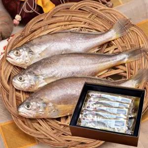 사랑해 황금조기 2호세트 총10미(100~119g1미1팩)+선물박스포장